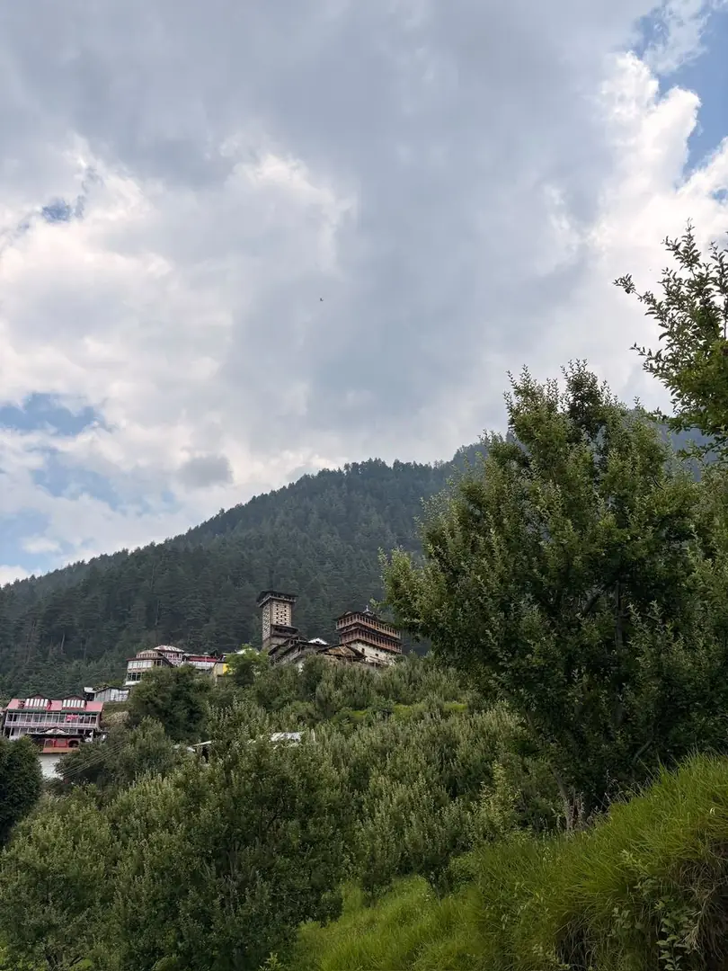 A hillside village in a pine valley under heavy cloud, Himachal Pradesh. Photograph by Arav Jain.